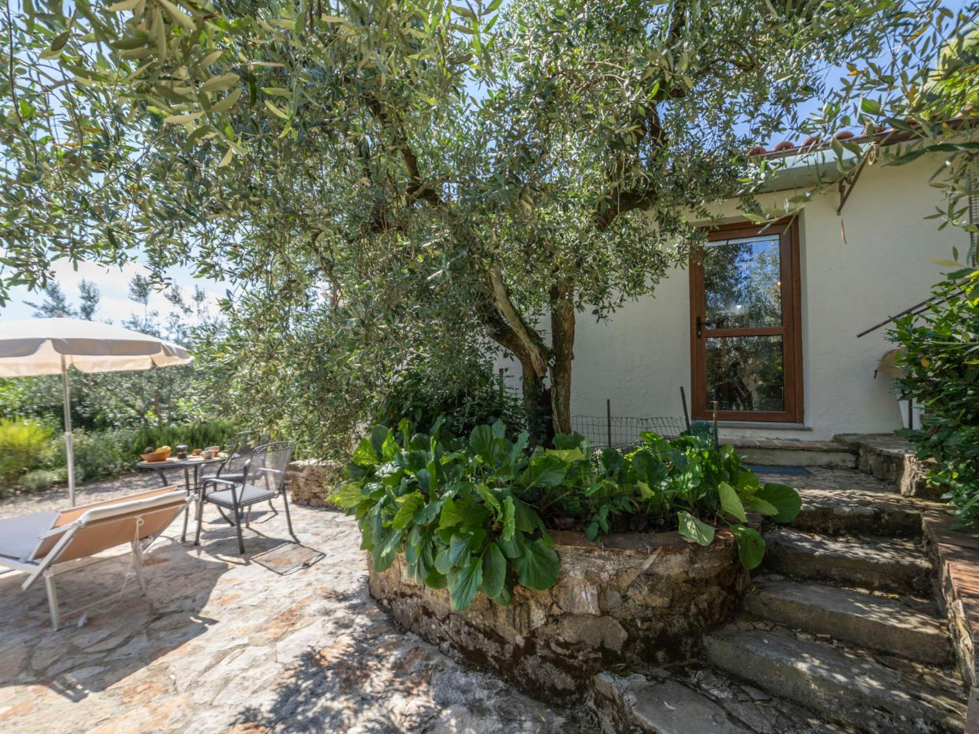 Holiday Home Olivo By Interhome Castellina in Chianti Exteriör bild